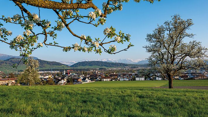 Sozialhilfe im Kanton Luzern 2023