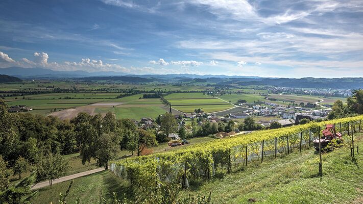 Fachbereich